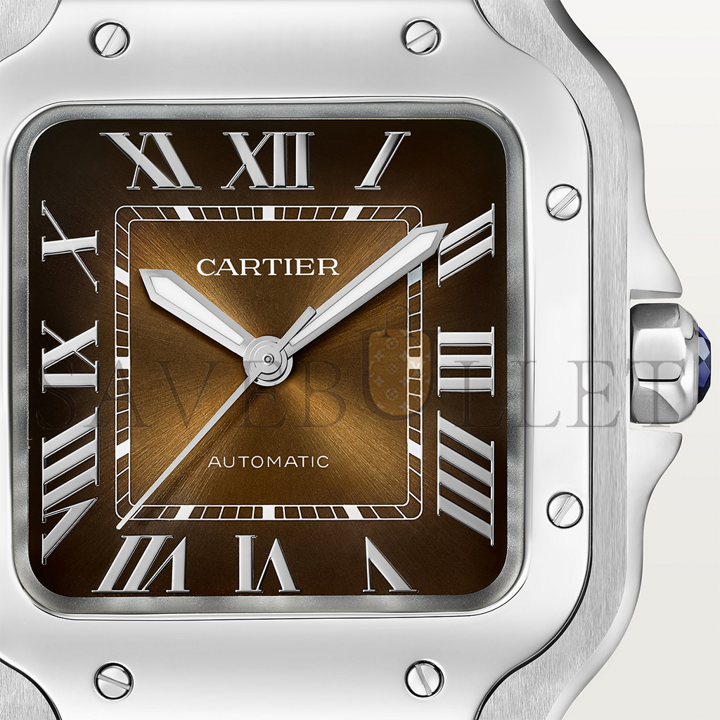 Ca*t*er santos de Ca*t*er watch wssa0065